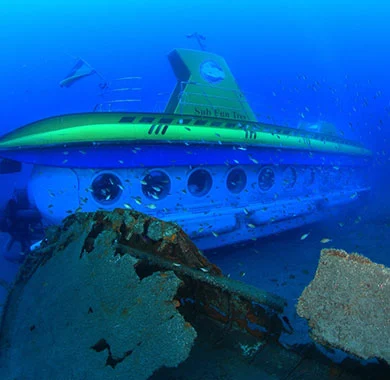 Experience a dive